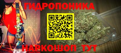 дмт Кинель